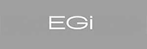 EGI