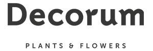 Decorum Company