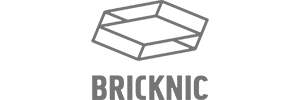 Bricknic