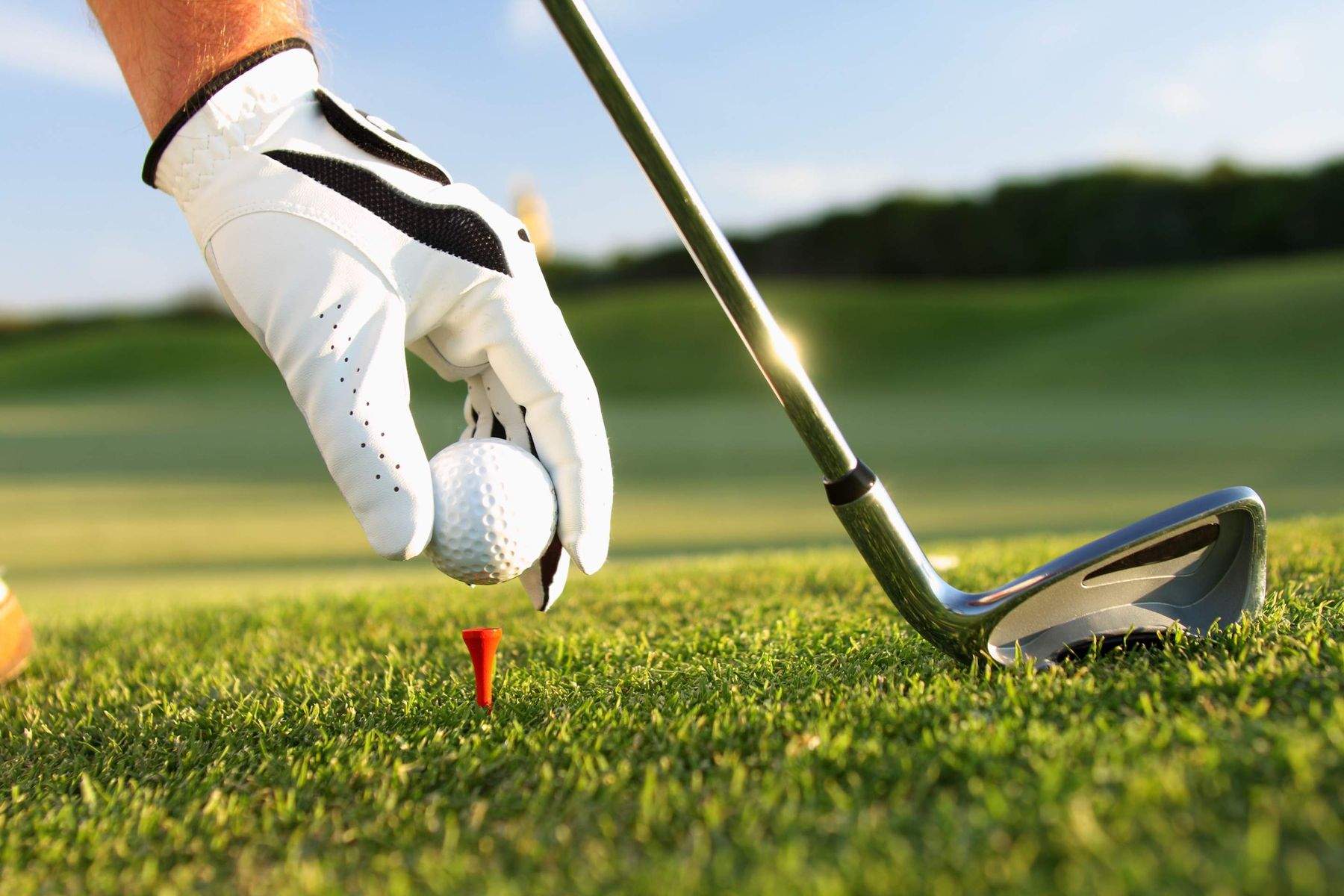 Die 6 besten Golfplätze in Berlin 2025 – Golfen auf höchstem Niveau