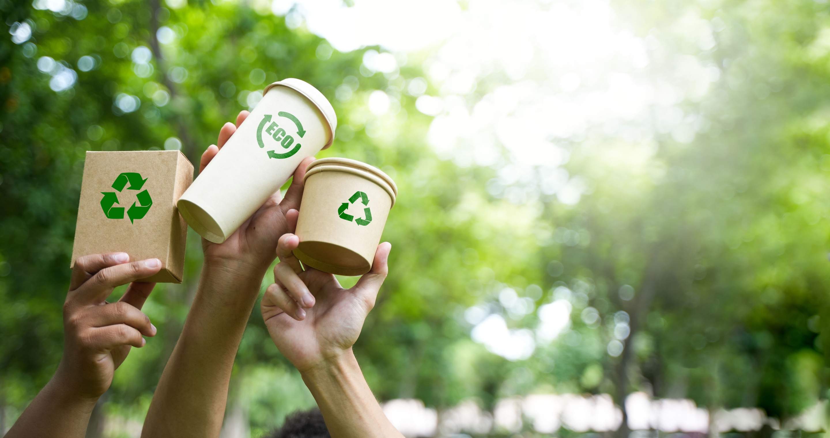 Die 9 besten Recyclingunternehmen in Düsseldorf 2025: Nachhaltige Entsorgung und Wiederverwertung