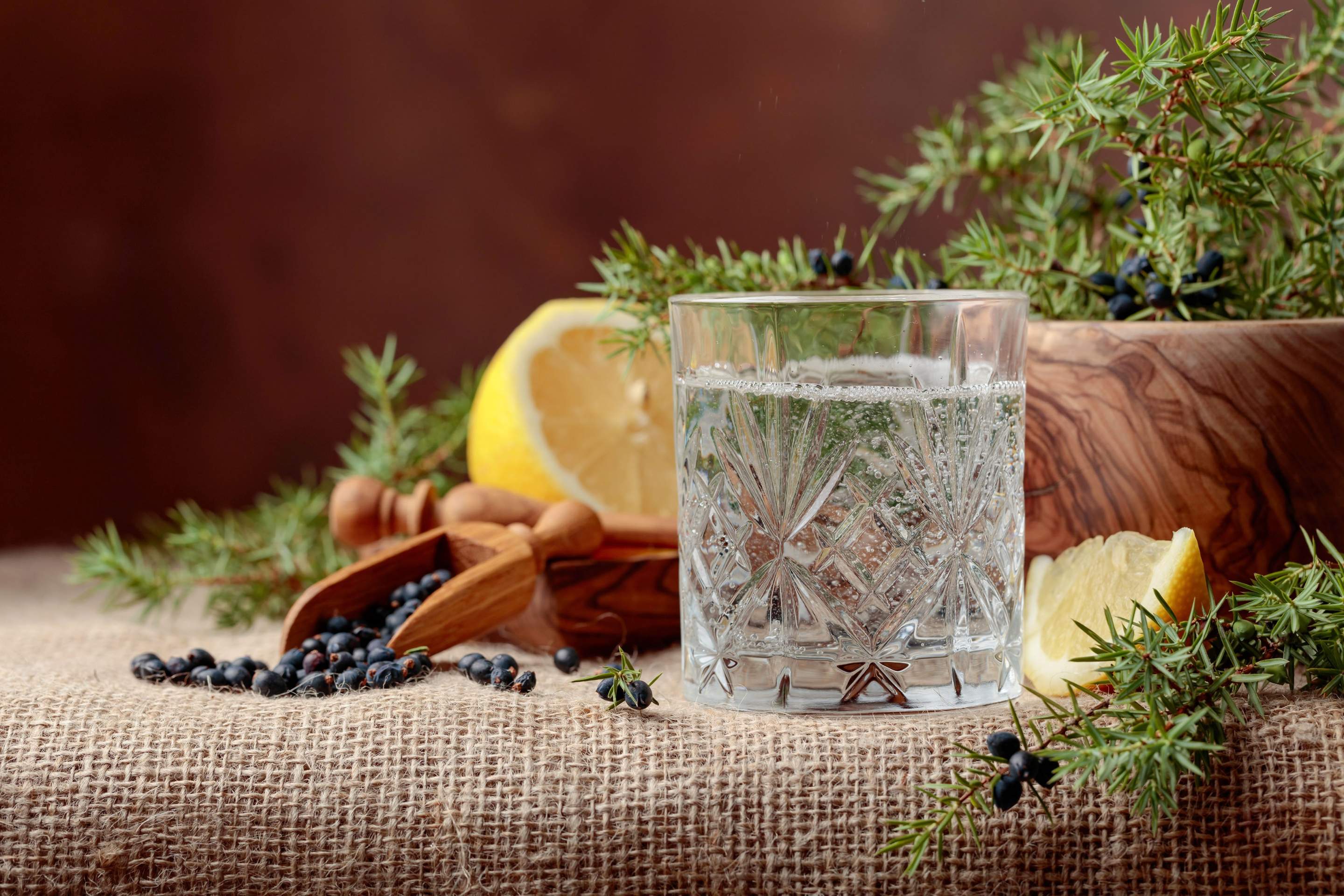 Die 12 besten Gin-Brennereien in Freiburg und Bodensee 2025: Entdecken Sie exzellente Destillerien
