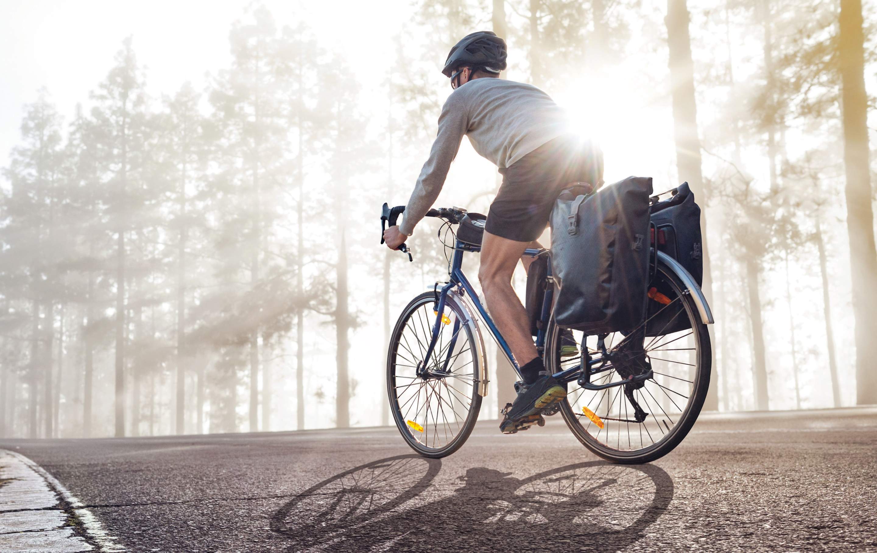 Die 6 besten E-Bike Händler in Dresden 2025