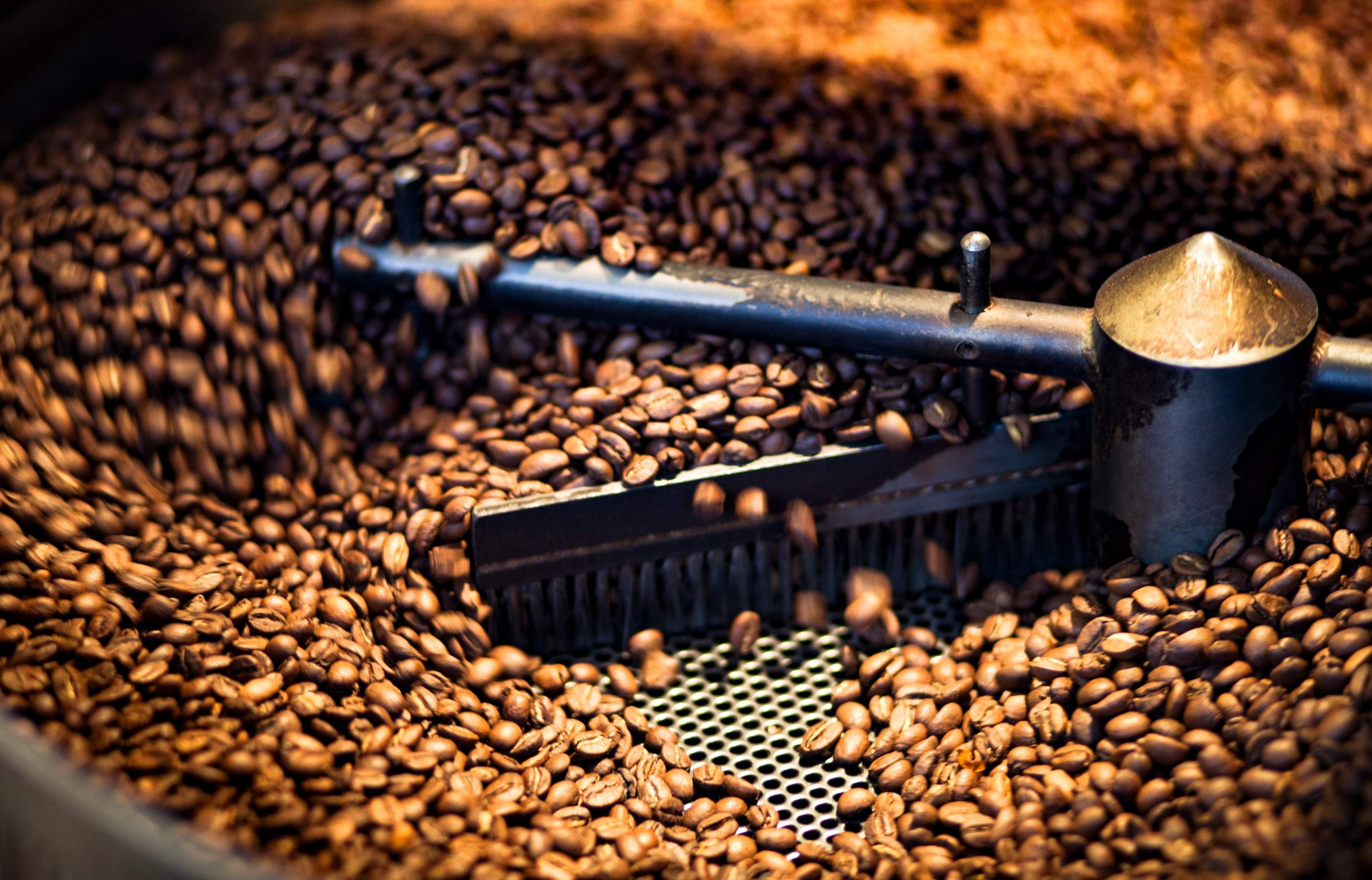 Die 8 besten Röstereien und Manufakturen in Zürich 2026 – Handwerkliche Qualität und Genuss