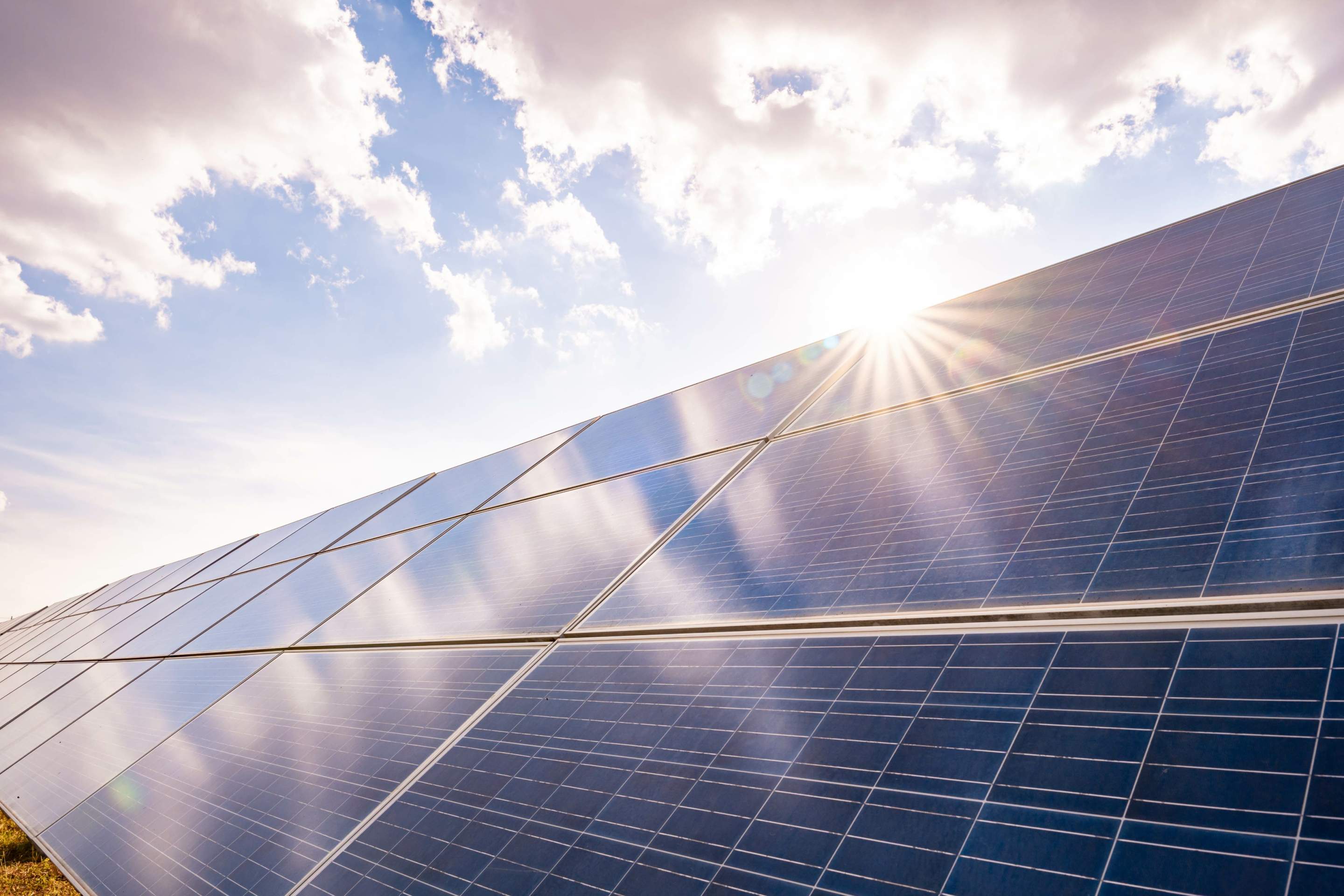 Die 9 besten Photovoltaik-Anbieter in Bonn 2026 – Nachhaltige Energie für Ihr Zuhause